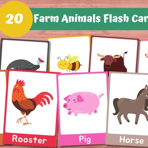 20 Farm Animals Cards, Montessori Flash Cards, Pre-School Cards, Rainbow Educational Printable Cards, Farm Animals Cards for Toddlers