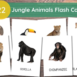 22 jungledierenkaarten, jungledierenkaarten voor peuters, montessorikaarten, kaarten met echte foto's, afdrukbare flitskaarten voor kinderen