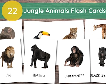 22 Tarjetas de animales de la selva, Tarjetas de animales de la selva para niños pequeños, Tarjetas flash Montessori, Tarjetas de imágenes reales, Tarjetas flash imprimibles para niños