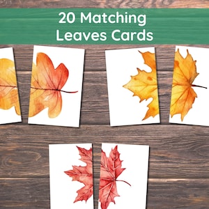 Matching Leaves, 20 Cards,Fall Activity for Kids, Toddler Activity, Homeschool Resource, Montessori Materials, Sensory Table Printable,
