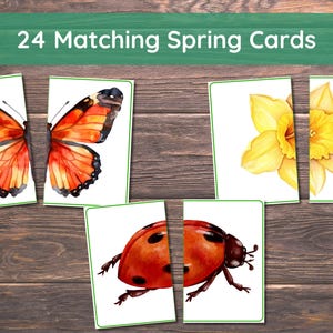Frühlingszuordnung für Kleinkinder, Frühlingszuordnung, Montessori, Hausschulressource, Blumen, Frühlingstiere, Frühlingszuordnungsspiel