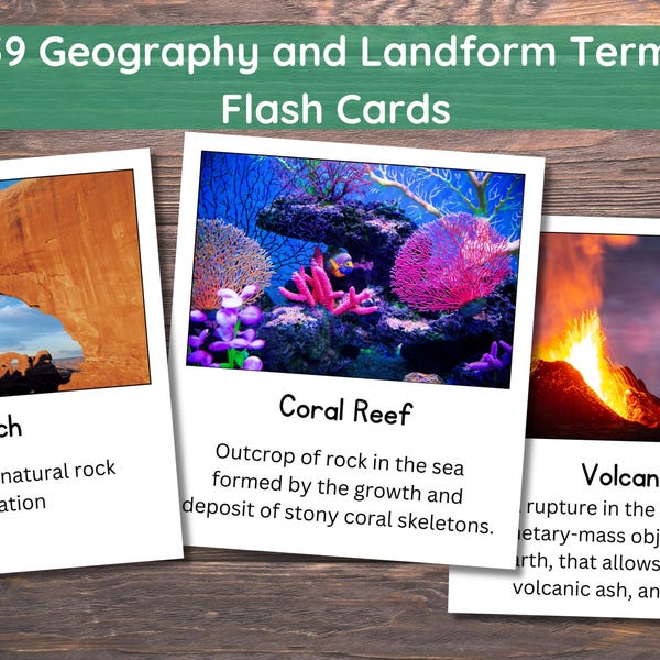 3-part Cards: Marine Invertebrates (printable PDF) - Etsy Canada