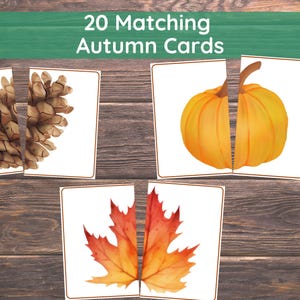 Fall Matching Toddler Activity,Autumn Matching, Montessori, Homeschool Resource, Pumpkins, Acorns, Woodland Creatures