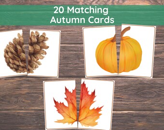 Fall Matching Toddler Activity,Autumn Matching, Montessori, Homeschool Resource, Pumpkins, Acorns, Woodland Creatures