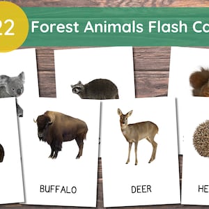 22 Forest Animals Cards, Forest Animals Cards for Toddlers, Montessori Flash Cards, Real Pictures Cards, Printable Flash Cards For Kids