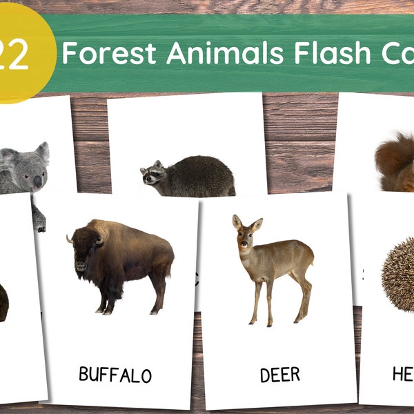22 Tarjetas de animales del bosque, Tarjetas de animales del bosque para niños pequeños, Tarjetas flash Montessori, Tarjetas de imágenes reales, Tarjetas flash imprimibles para niños