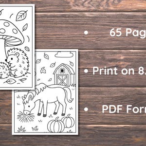 May include: Black and white line art coloring pages featuring hedgehogs, a mushroom, a barn, a horse, and pumpkins. The text on the right side of the image says "65 Pages", "Print on 8.5x11"", and "PDF Format".