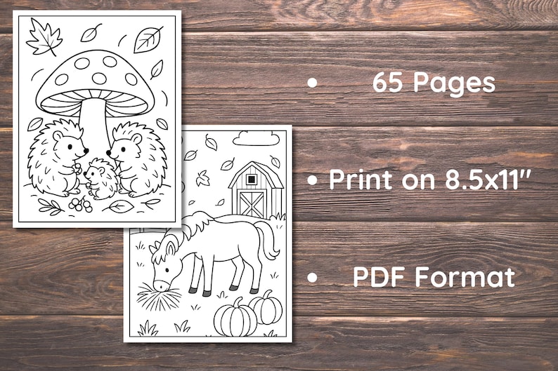 May include: Black and white line art coloring pages featuring hedgehogs, a mushroom, a barn, a horse, and pumpkins. The text on the right side of the image says "65 Pages", "Print on 8.5x11"", and "PDF Format".