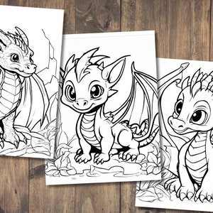 May include: Three black and white line drawings of cute baby dragons with wings. Each dragon is sitting on a rock with leaves and flowers around them.