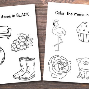 May include: A coloring page with instructions to color items in black and pink. The black items are a couch, grapes, a record, and rain boots. The pink items are a flamingo, a cupcake, a rose, and a pig.