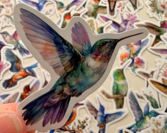 5-100 Hummingbird Stickers