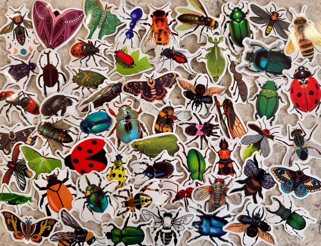 5-100 Insect Stickers - Etsy