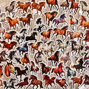 5-100 Equestrian Horse Stickers