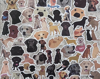 5-100 Labrador Retriever Dog Stickers