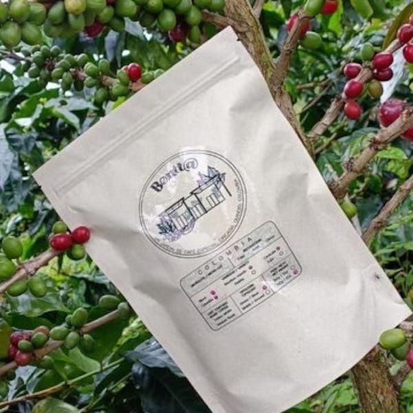 Colombian Whole Bean Coffee - Cafe Bonita - Single Origin - Organic