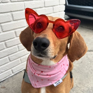 Be My Valentine 'Dana | Reversible Pet Bandana