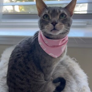 Pink Heart 'Dana | Pet Bandana