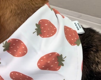 Truskawka 'Dana | Bandana dla zwierząt