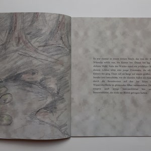RieCa's Fairytales: Der zauberhafte Silbersee imagem 4