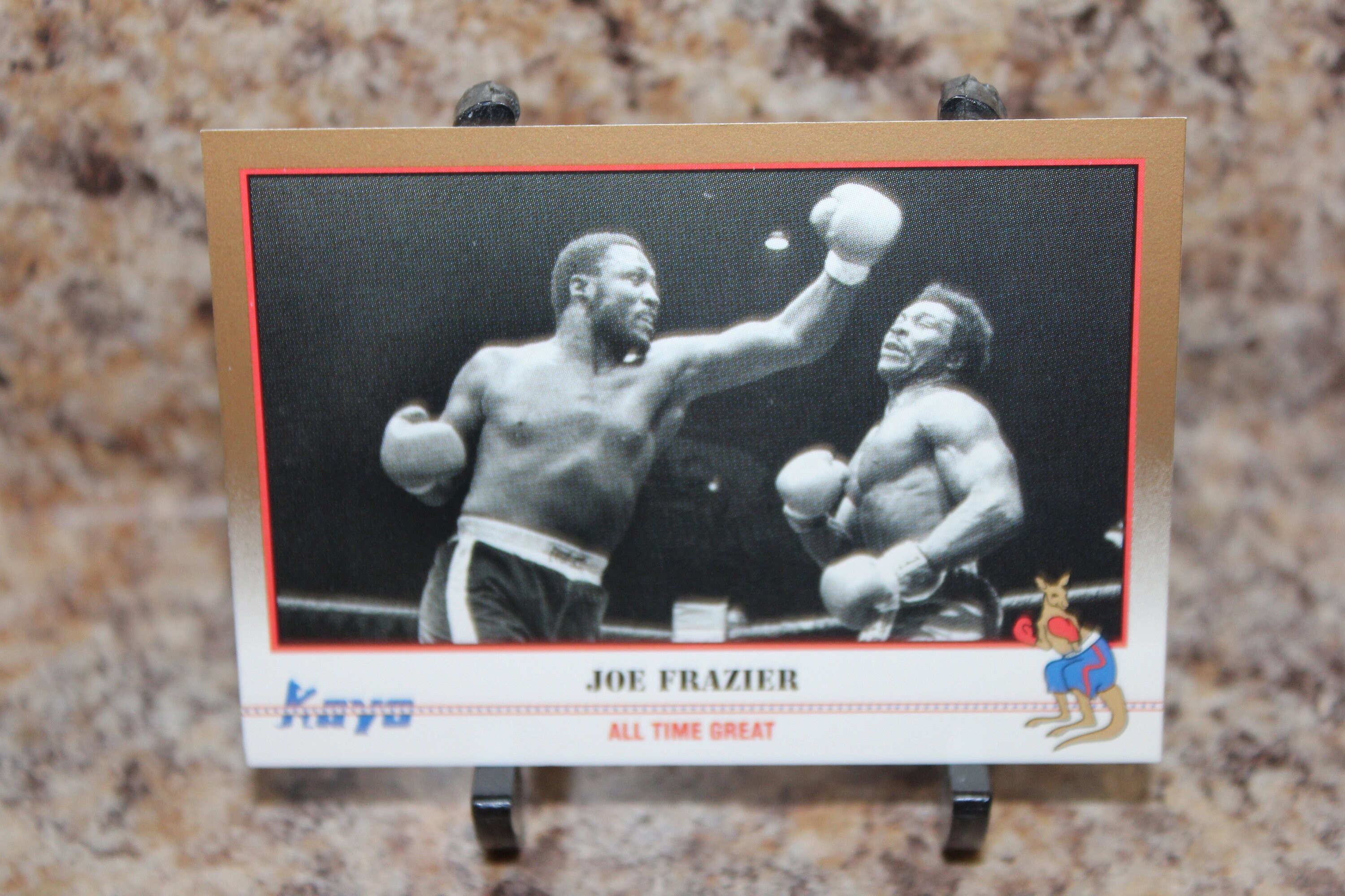 1991-92 KAYO BOXING ROUND ONE CARD PACK 