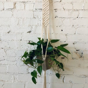 Diamond Plant Hanger