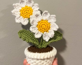 Crochet Daisies (in a pot)