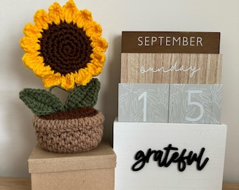 Crochet Sunflower (in a pot)