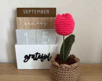 Crochet Potted Tulips