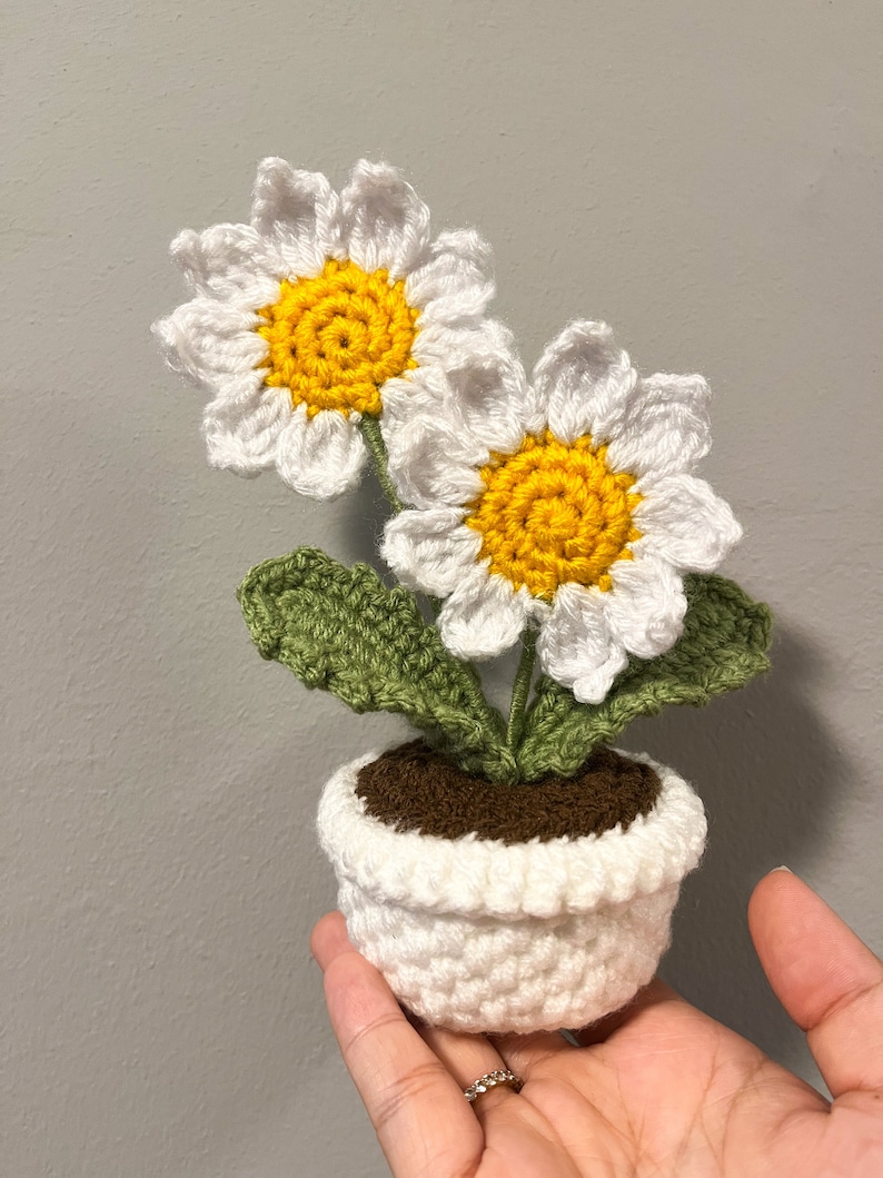 Crochet Daisies in a Pot - Etsy