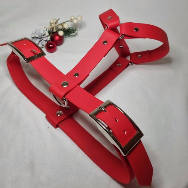 Dog harness made of Biothane in different colors