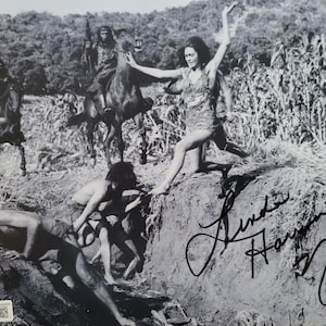 Linda harrison - Etsy 日本