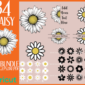 34 Daisy SVG, Daisy SVG bundle, Daisy flower SVG, Daisy silhouette, Daisy clipart, cut files for cricut, Daisy png, digital download