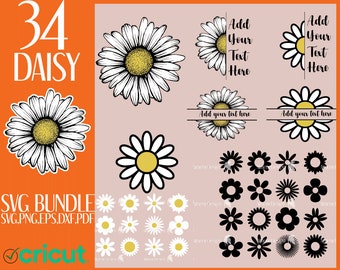 34 Daisy SVG, Daisy SVG bundle, Daisy flower SVG, Daisy silhouette, Daisy clipart, archivos cortados para cricut, Daisy png, descarga digital