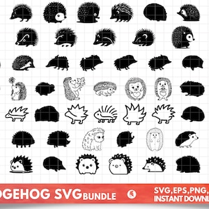 Igel Bundle SVG, Igel SVG, Igel Clipart, Igel geschnitten Dateien für Cricut, süße Igel SVG, Cartoon Igel
