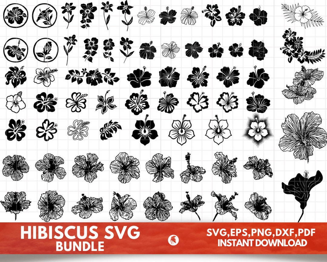 Hibiscus SVG Bundle - Hibiscus PNG Bundle - Hibiscus Clipart - Hibiscus ...