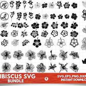 Hibiscus SVG Bundle - Hibiscus PNG Bundle - Hibiscus Clipart - Hibiscus ...
