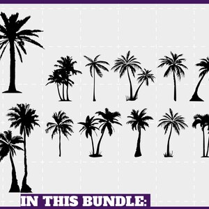 May include: A collection of black palm tree silhouettes in various styles. The image includes a variety of palm tree designs, from tall, single trees to groupings of multiple trees. Text at the bottom reads "IN THIS BUNDLE:"