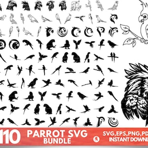 110 Parrot svg, Parrot svg cut files, Parrot svg bundle, Parrot clipart, Bird svg, instant download