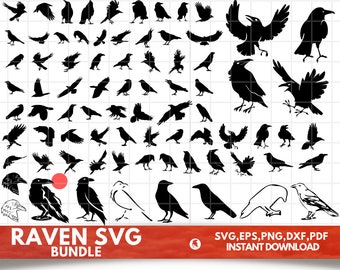 Raven SVG Bundle - Crow Svg - Raven PNG Bundle - Raven Clipart, Raven SVG Cut Files for Cricut, Raven Silhouette, Raven Head Svg, Ravens Svg