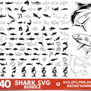 Shark Svg Bundle, Shark Silhouettes Svg, Hammerhead Shark Svg, Shark Png, White Shark, Hungry Shark, Shark Fin Svg,Cute Shark