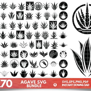 jose cuervo 100 agave Jose Cuervo Tradicional Plata main image 0