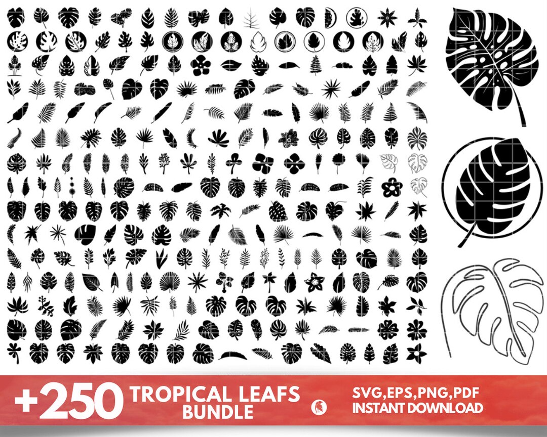 250 Tropical Leaves Svg Bundle, Monstera Leaf Svg Clipart, Jungle ...