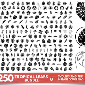 May include: A collection of over 250 black and white tropical leaf silhouettes. The leaves are arranged in a grid pattern. The image includes the text "+250 Tropical Leafs Bundle" and "SVG,EPS,PNG,PDF Instant Download".