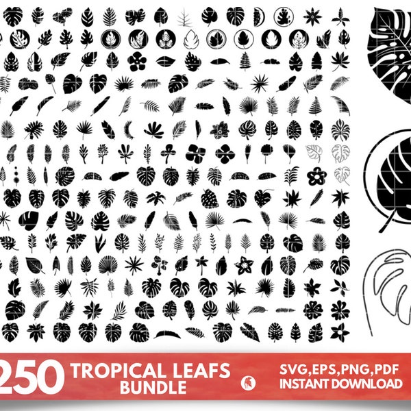 250 Tropical leaves svg bundle, monstera leaf svg clipart, jungle leaves clipart, palm branch svg, tropical party decor, commercial use svg