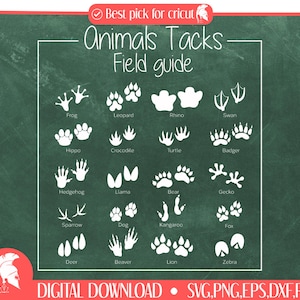 20 Animal Tracks - Field Guide Sign SVG, Nursery Decor, Kids Room, Animal Paw Prints, Footprints Poster Svg, Children SVG, Digital Download