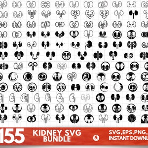 Rein SVG Bundle, rein PNG Bundle, rein Clipart, rein SVG couper des fichiers pour Cricut, rein Silhouette, rein anatomie Svg, maladie Svg