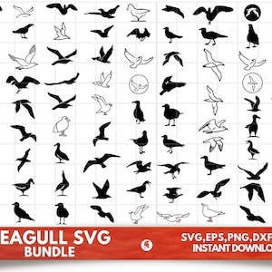 Möwe SVG Bundle - Möwe PNG Bundle - Möwe Clipart - Möwe SVG geschnittene Dateien für Cricut - Möwe Silhouette, Möwe SVG, Küsten svg
