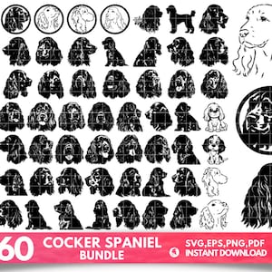 60 Cocker Spaniel SVG Bundle, Cocker Spaniel dxf, Cocker Spaniel png, Cocker Spaniel vector, Cocker Spaniel outline, Spaniel clipart