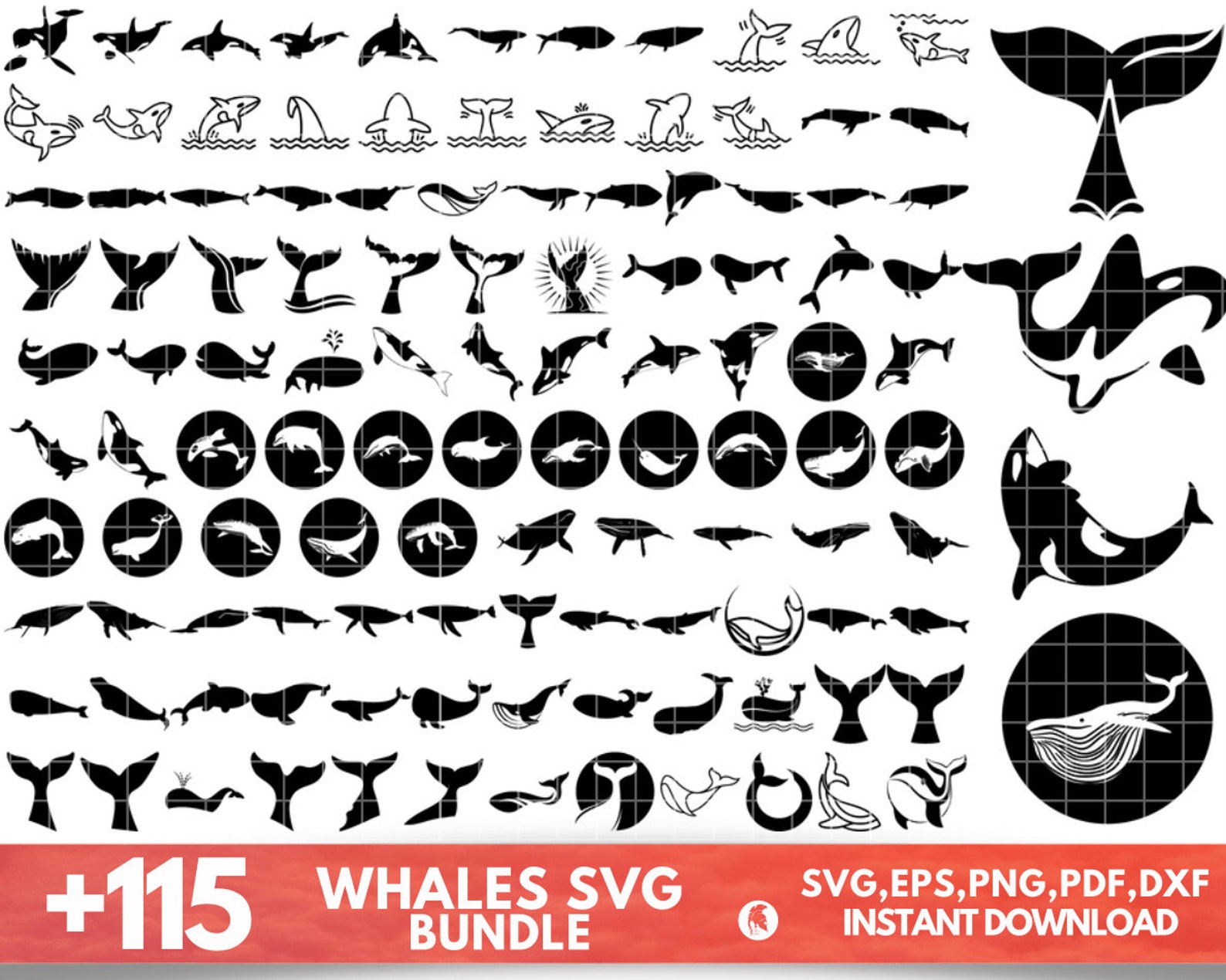 Whale Rib Vector Whale SVG Bundle, Whale Dxf, Whale Png, Whale Eps, Whale Vector, Whale ...