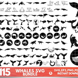 Whale SVG Bundle, Whale dxf, Whale png, Whale eps, Whale vector, Whale cut files, Whale svg,Whale clipart,Sea animals svg,Whale tail svg